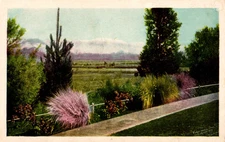 Postcard Snow-clad Mountains From Sanitarium Gardens Loma Linda California L2