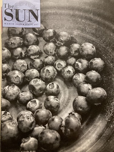The Sun Magazine Literary Journal Mar 2018 Issue 507 Interview Andrew Coates - Imagen 1 de 2