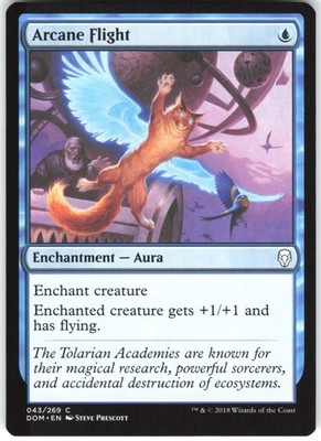 Arcane Flight 43 Dominaria DOM C MTG Magic The Gathering C LP