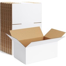 Famagic 10 Pack 9x6x4 Inch Small Shipping Boxes White inch,