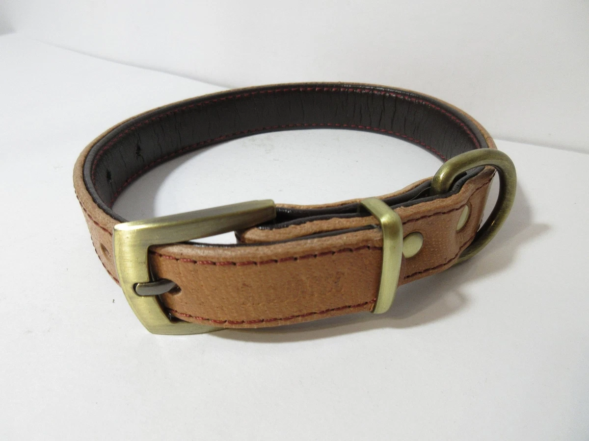Moonpet dog cheap collars