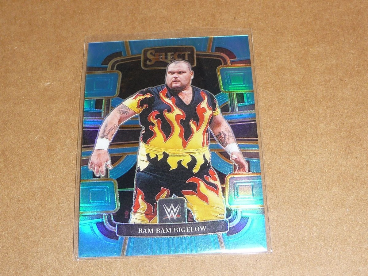 2024 Panini Select WWE WRESTLING LIGHT BLUE RIZM /249 BAM