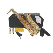 NEW Gold Eb Alto Saxophone with Case and Accessories
