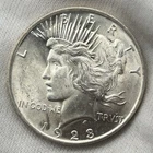1923-P $1 Peace Dollar 90% Silver Philadelphia US Coin - LUSTER!