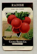 1920's LITHO CARD CO. EARLY RED RADISH SEED PACKET