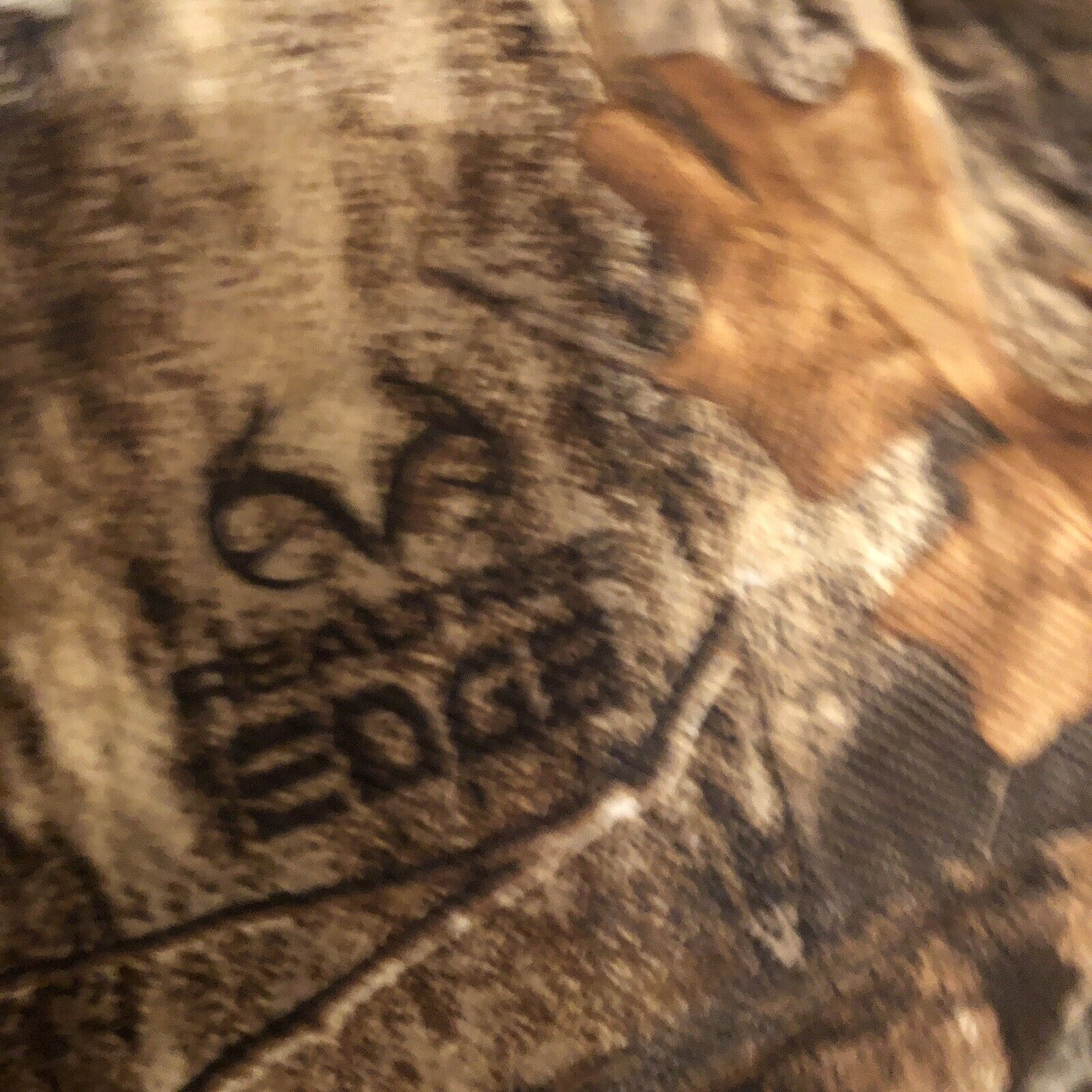 Picture 4 of 15