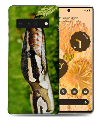 CASE COVER FOR GOOGLE PIXEL|GREEN SLITHER SNAKE REPTILE #4