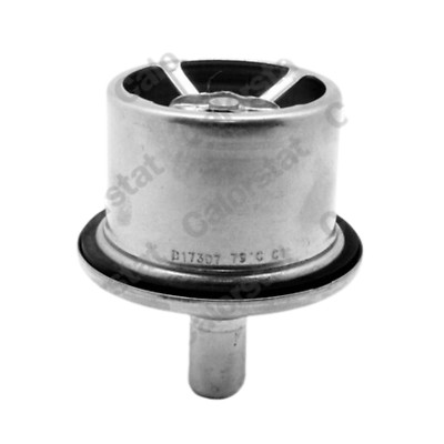 CALORSTAT BY VERNET Thermostat, Kühlmittel THS19099.87 für DAF 75 CF/85 CF/XF 95
