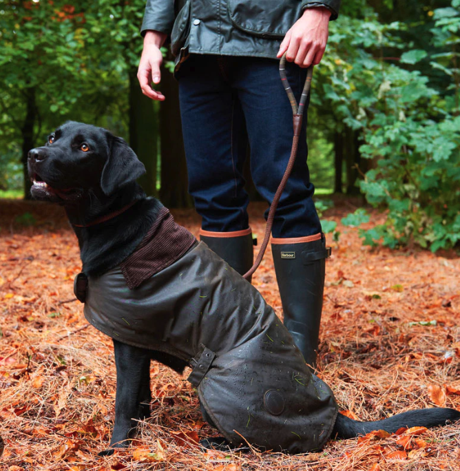 BARBOUR Matt Waxed Cotton Dog Coat MSRP$110 in Olive British