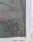 Picture 6 of 8