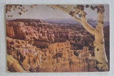 Postcard....Bryce Canyon ( National Park) From Sunset Point in Utah, Chrome 