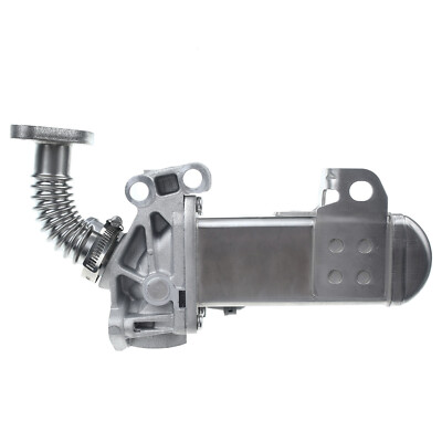 Frankberg Valvola EGR Compatibile con Pathfindel III R51 2.5
