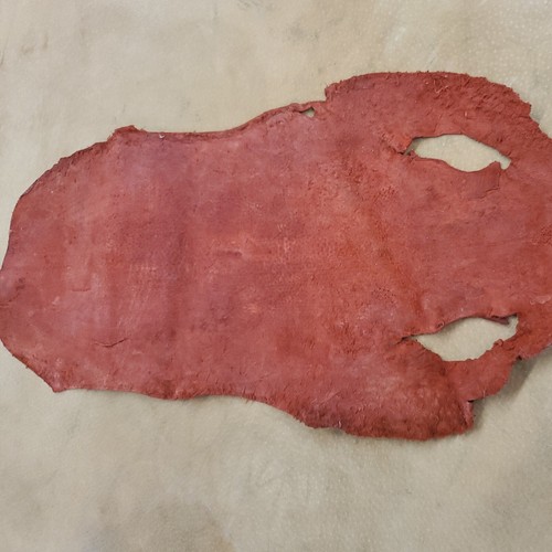 GENUINE Sting ray Dyed RED HIDE 15 ×8 inches rare skins rough hide - Picture 3 of 7