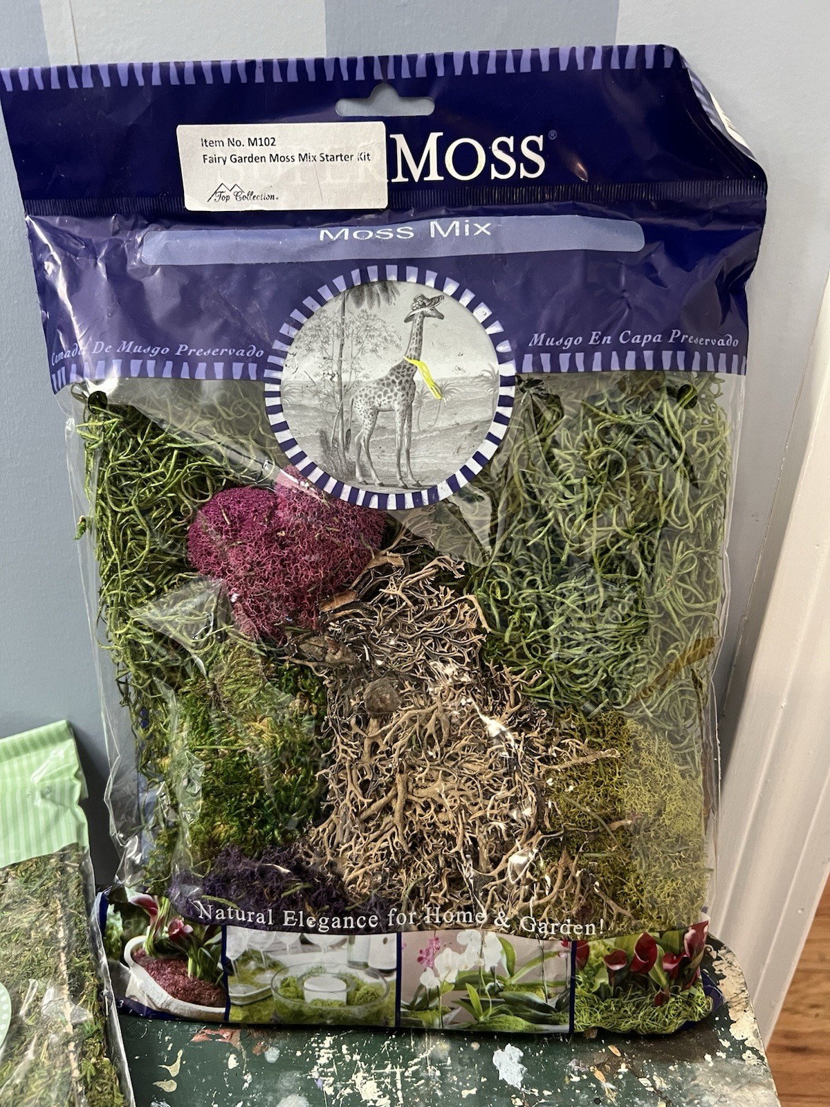 Hadas Jardín Musgo Mezcla Starter Garden Super Moss Products Co. Floral Hadas Nuevo