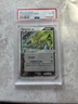 Pokemon TCG Tyranitar ex Holo 17/17 Pop Series 1 PSA 6 EX-MT 2004