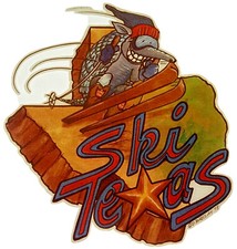 Original Vintage 1978 Ski Texas Iron On Transfer