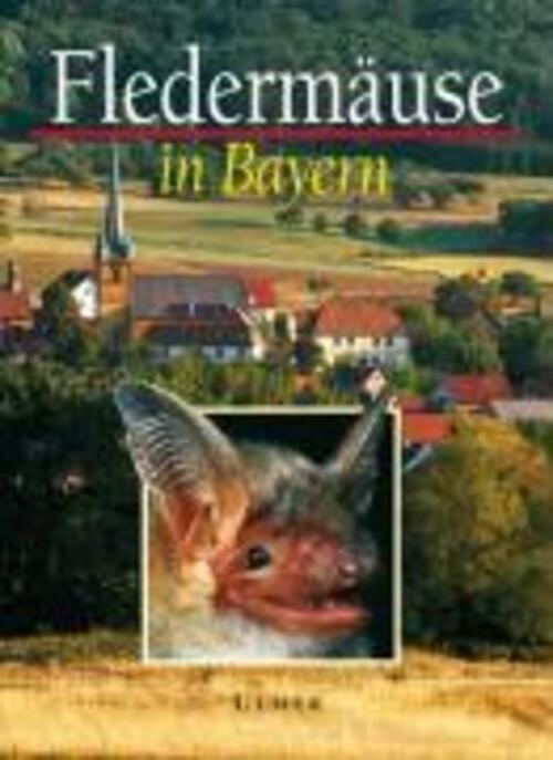 Thumbnail - Fledermäuse In Bayern | Katrin Kleinschrot | Buch | 411 S. | Deutsch |