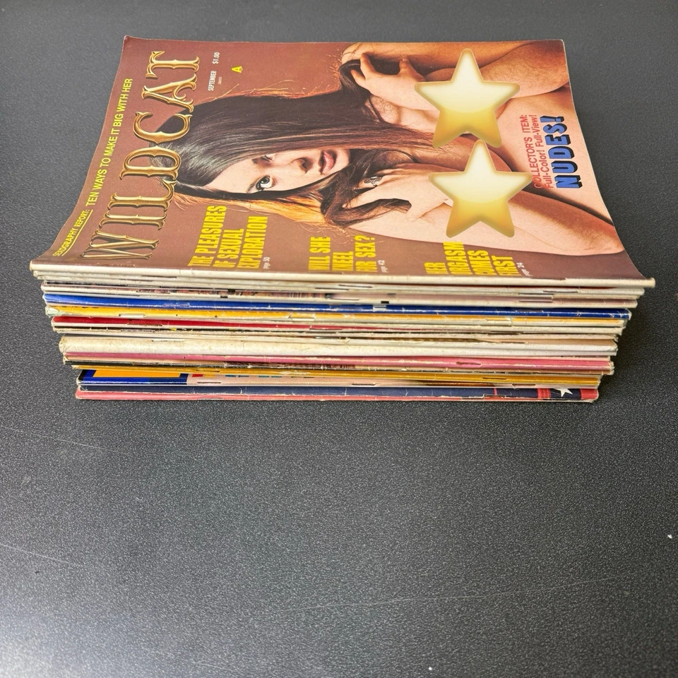 Лот из 22 различных мужских журналов 70-х настольные книги Climax Swingle Gala Sir! - Изображение 3 из 4