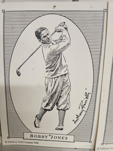 Bobby Jones 4 Card Golfing Set - Picture 4 of 9