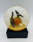 Fall Halloween Cool Snow Globe by Coolsnowglobes Crow Cats Pumpkins Gold Glitter — photo 2