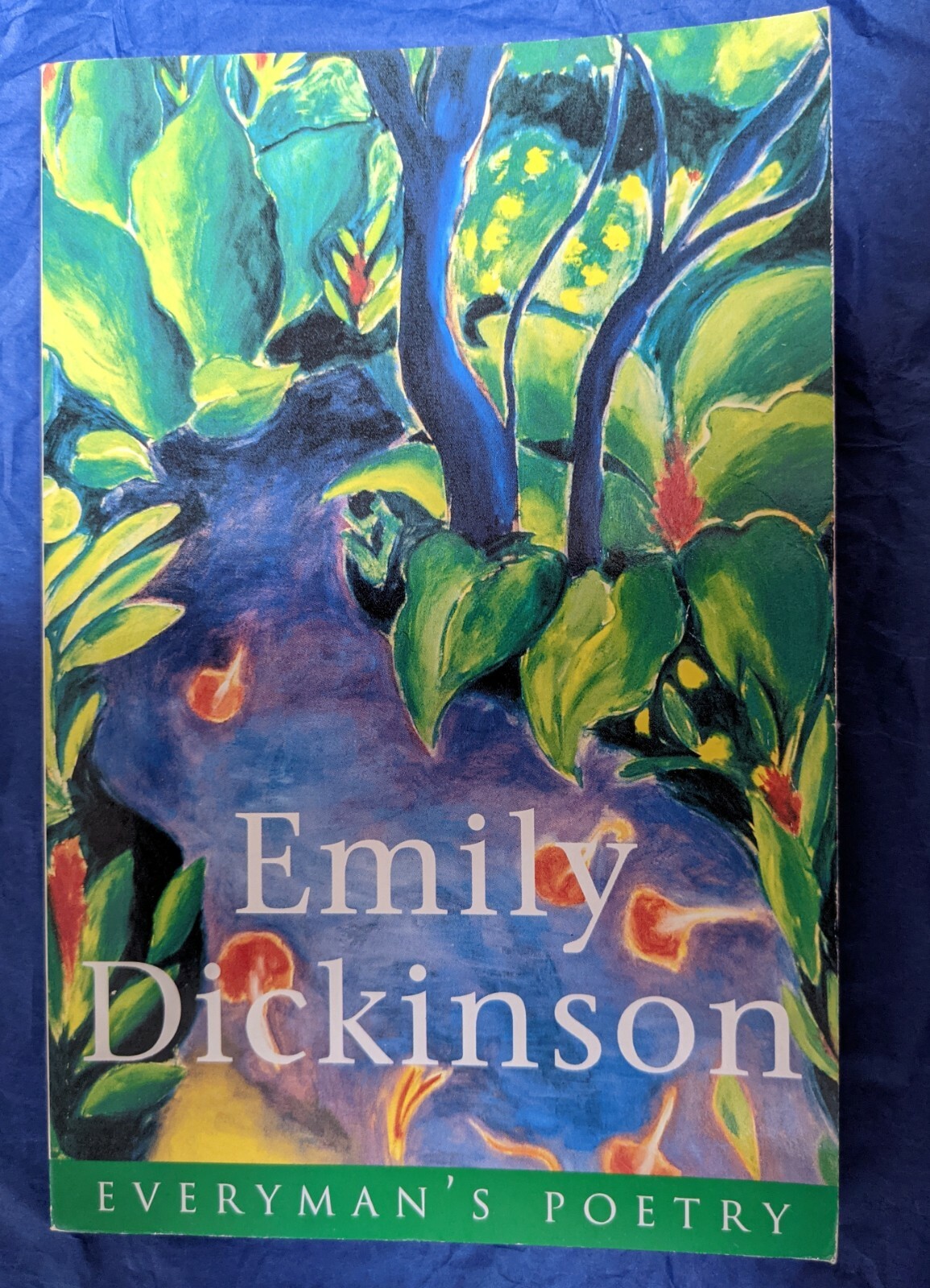 Emily Dickinson (EVERYMAN POETRY) Selected Poems paperback