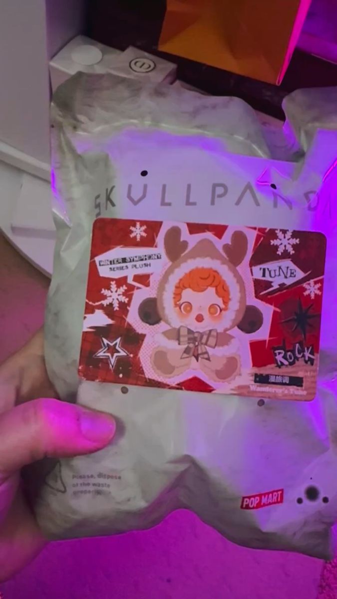 Authentic Skullpanda WINTER SYMPHONY “Wanderer's Tune” Vinyl