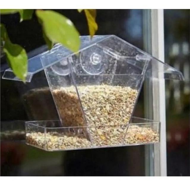Tom Chambers Window Bird Feeder