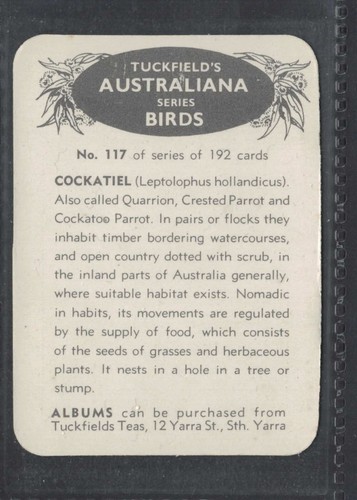 COCKATIEL - 50 + year old Aus Trade Card # 117 - Picture 2 of 2