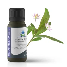 Body Recovery Essential Oil Blend - Human Right Essential Oils HROILS.com