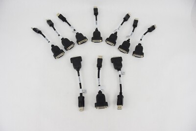 HP 481409-002 Display Port To DVI Adapter Cable
