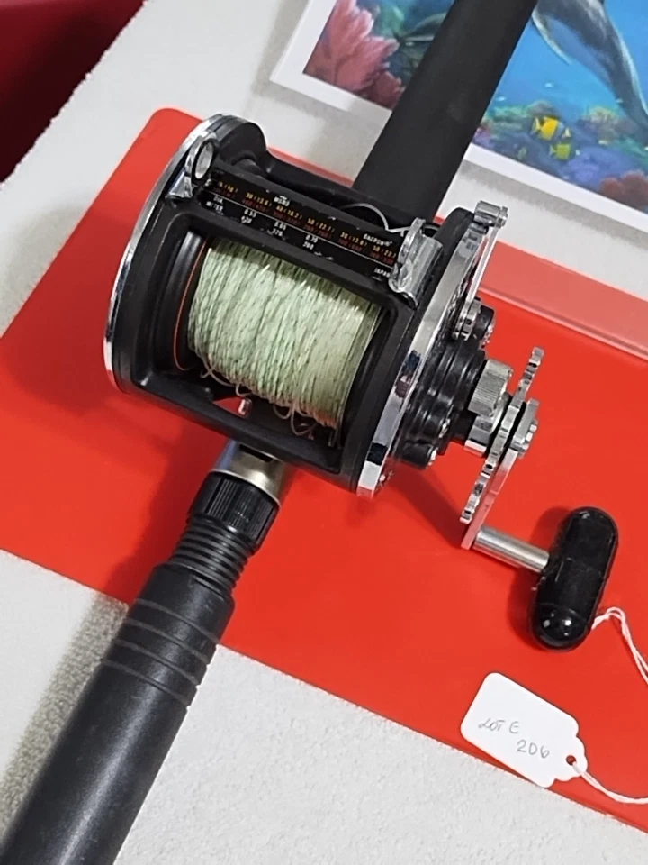 Caña de pescar de arrastre Daiwa Saltist 6'6" MH 15-30 lb y carrete Sealine 400H Foto 2 de 4