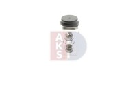 Expansionsventil Klimaanlage AKS Dasis 840287N FÜR Hyundai KIA