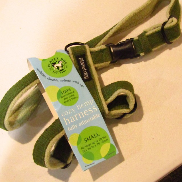 planet dog harness