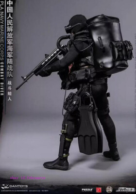 Damtoys 1/6 DAM78073 PLA Navy Marine Corps Combat Diver Action