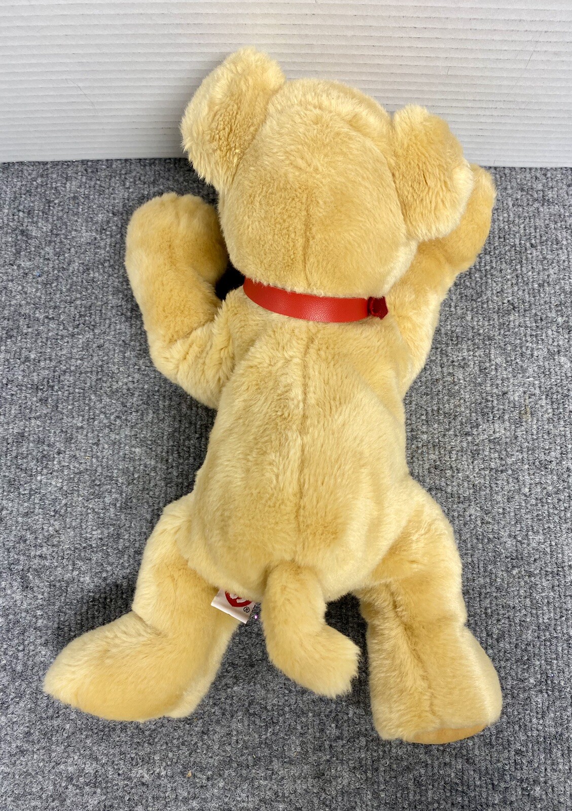 Picture 5 of 10