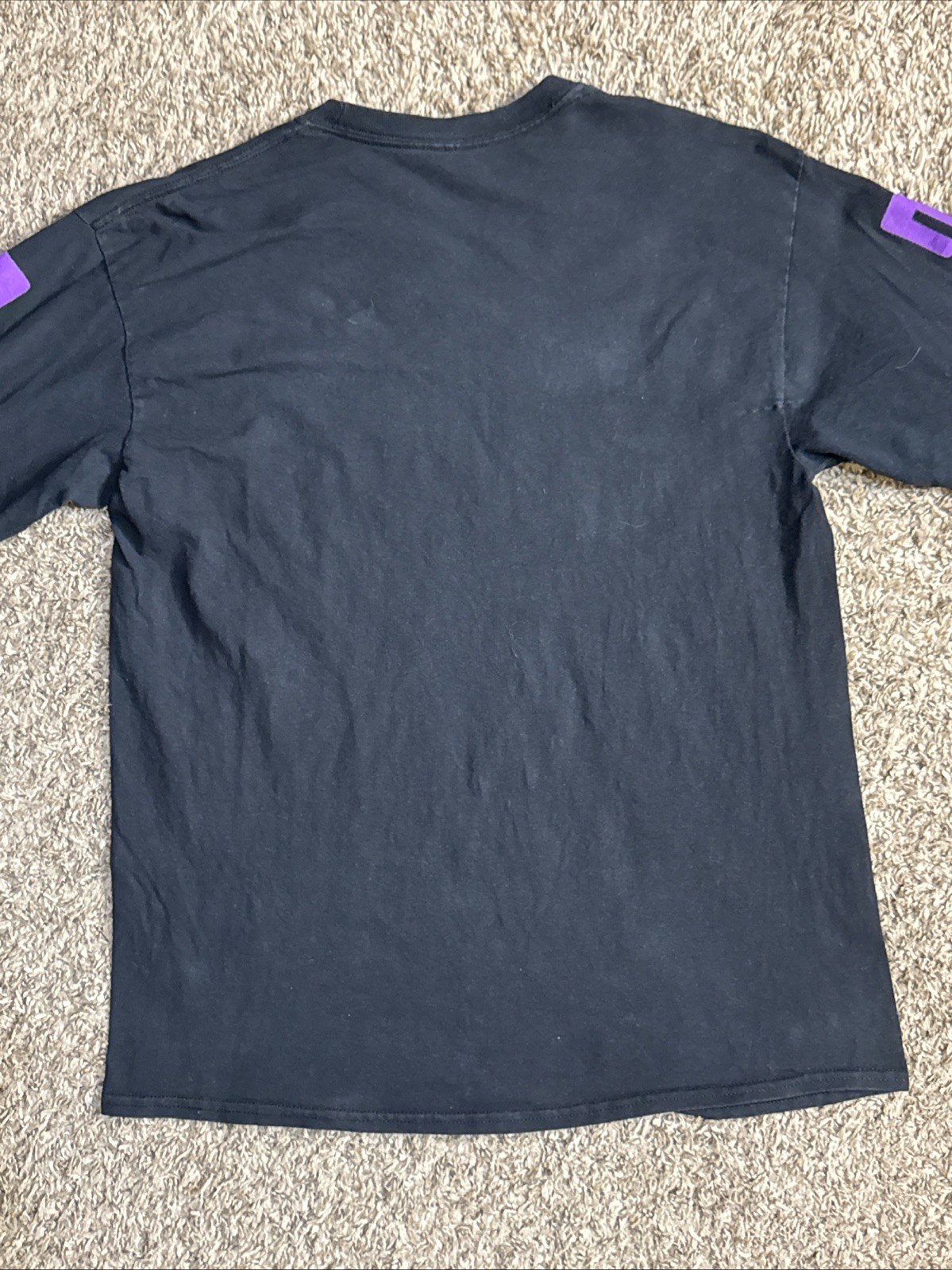 Papa Roach “Elevate” Purple Lightning  Long Sleev… - image 11