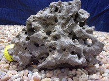 04 Texas/TN Holey Rock 05"x08"x05" Aquarium Reptile Honeycomb Limestone