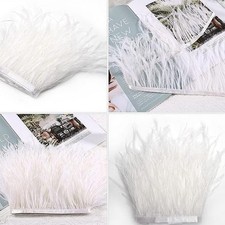 Straußenfeder Band 1 Meter - 10-15cm Breite Für Kleidung & Deko