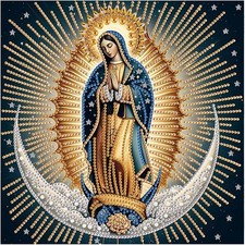 DPDAKIT Diamond Painting Kits, Virgin Mary Prayer 5D Special Multicolored