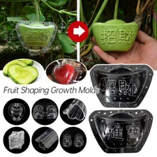 Square Heart Fruit Mold Garden Fruit Vegetabl...