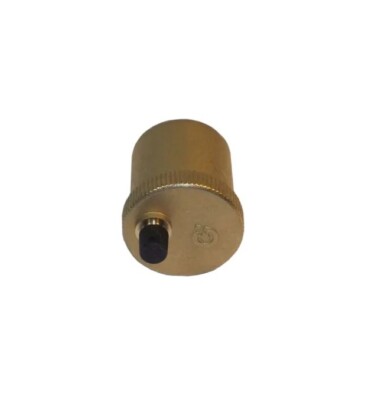 Worcester Bosch 87161563020 Pilot Injektor LPG 45004114004