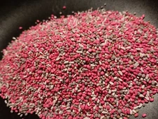 Food Plot Seed Chicory Alfalfa Clover Evergreen No-Till 2 Lbs Attract Wildlife