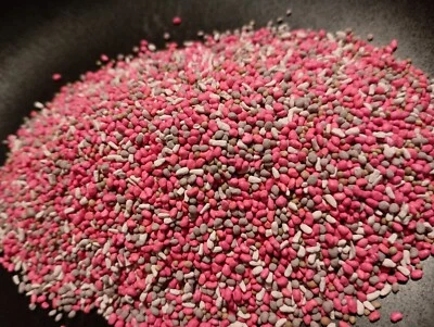 HALF ACRE IN TOWN FARM Food Plot Seed Chicory Alfalfa Clover Evergreen No-Till 2 Lbs Attract Wildlife