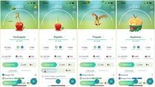Applin, Appletun, Flapple, Dipplin, Hydrapple | Tr-de 20k stardust