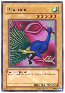 Peacock - SRL-011 - Common - Unlimited Edition x3 - Near Mint