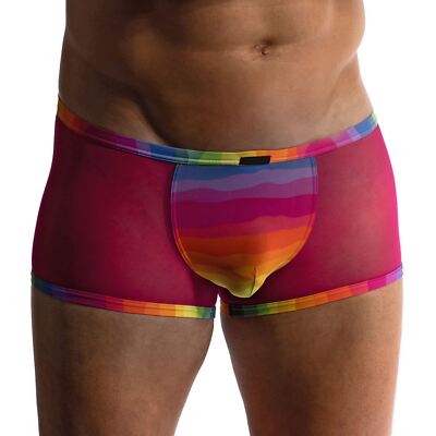 Manstore M2411 Microhose Herrenunterwäsche Boxershorts Kofferraum transparentes Netz