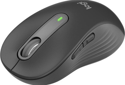 Logitech SIgnature M650 L Wireless Mouse - Graphite - 910-006231