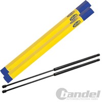 2X Magneti Marelli Gasfeder MOTORHAUBEN-LIFTER Passend FüR Mercedes SLK R170