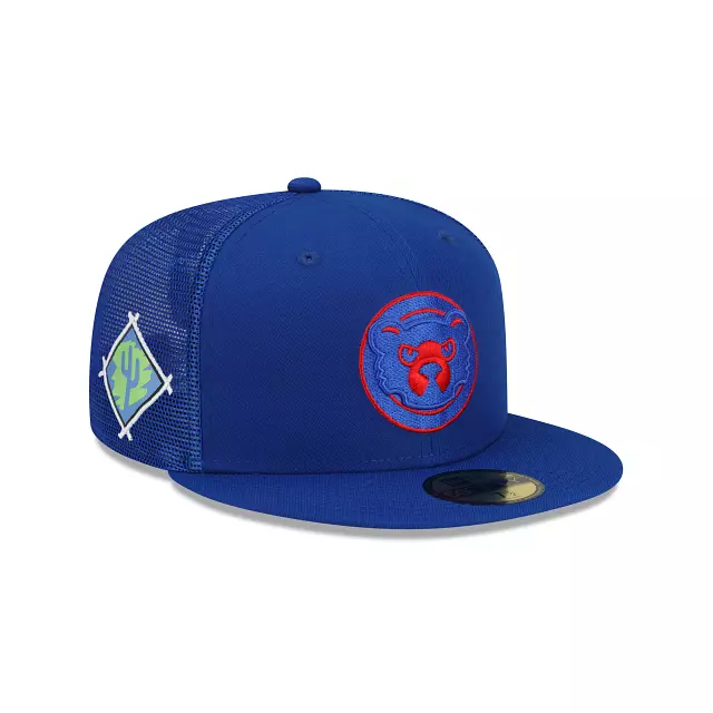 Cubs spring 2025 training hats 2019