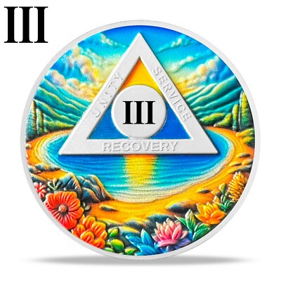 Alcoholics Anonymous 3 Year Sobriety Coin AA Chips Medallion Three Years Sober